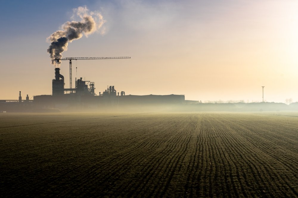 Contaminantes Orgánicos Persistentes (COP): Tipos y Efectos